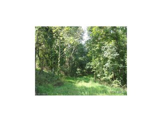 0 Pullman Rd Unit M235894, Harrisville, WV 26362
