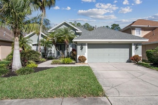 10439 Greendale Dr, Tampa, FL 33626