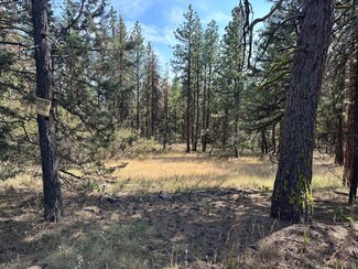 Lot 8 Seal Ln, Bonanza, OR 97623
