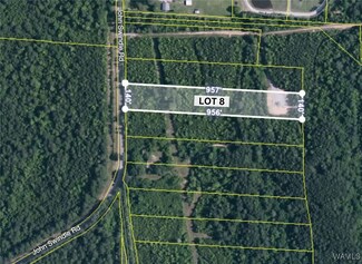 Lot 8 John Swindle Rd, Northport, AL 35475