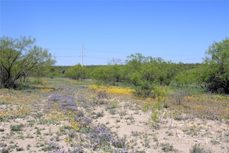 0 Farm To Market 1929, Paint Rock, TX 76866