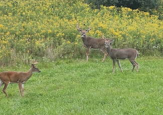 0 School House Rd, Wittenberg, WI 54499