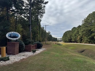 0 Pine Tree Rd Unit 25341220, Gaston, NC 27842