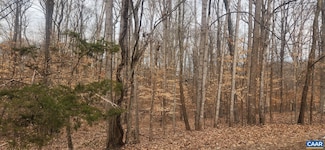 0 Thrush Ct Unit 660240, Lake Monticello, VA 22963