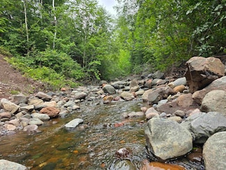 XX Mountain Home Trail, Lake No. 1, MN 55614