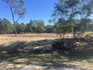TBD SW 136th Ave, Ocala, FL 34481