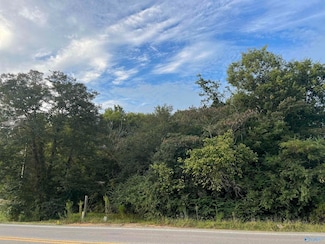 8485 Highway 411, Centre, AL 35960