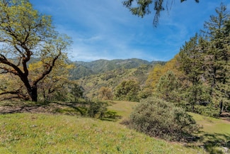 15800 Ridgeview Rd, Willits, CA 95490