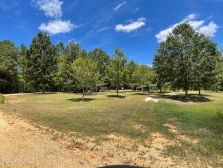 716 Michael McLeod, McLain, MS 39456