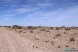 0 Roja Rd SW Unit 20231638, Deming, NM 88030