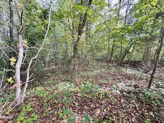 Lot 90 Owls Cove Way, Sevierville, TN 37862