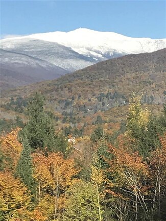 195 Linderhof Strasse, Intervale, NH 03845