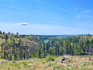 0 TBD Madd Mtn Rd, Okanogan, WA 98840