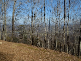 H63 Tatum Mining Rd, Menlo, GA 30731