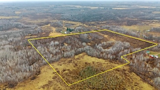 TBD (Parcel C) Olson Rd, Dell Grove Township, MN 55037