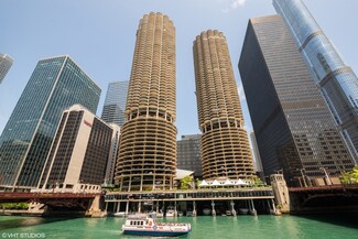 300 N State St Unit 4609, Chicago, IL 60654