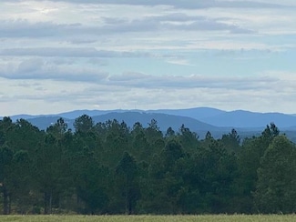 0 High River Rd Unit 7563685, Ellijay, GA 30540
