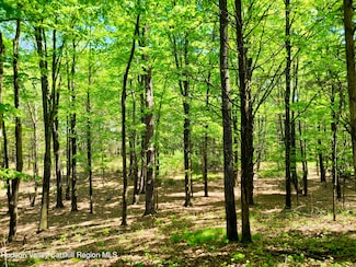 221 South Rd, Kingston, NY 12401