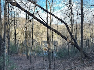 Lot 91 Bald Eagle Ct, Sapphire, NC 28774