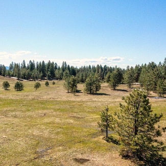 Lot 36 To Be Determined Unit 36, McCall, ID 83638