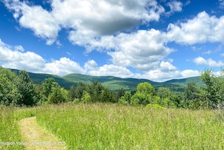Tbd Strong Rd, Durham, NY 12418