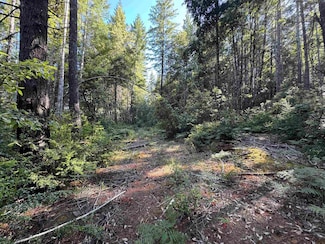 Fox Ridge Fox Ridge Rd, Crescent City, CA 95531