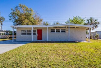 1338 Windsor Way, Tampa, FL 33619