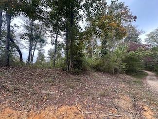51 Dale Hollow Shore Unit 51, Celina, TN 38551