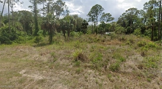 2315 Monroe Ave Unit 20, Alva, FL 33920