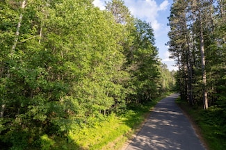Lot 2 Dad's Lake Rd, Eagle River, WI 54521