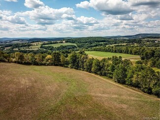 04 Bauernfeind Rd, Delaware, NY 12723
