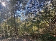 10014 N Athenia Dr, Citrus Springs, FL 34434