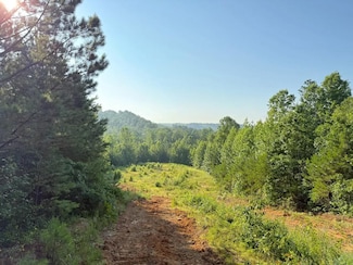 000 Pleasant Hill Church Rd, Hackleburg, AL 35564