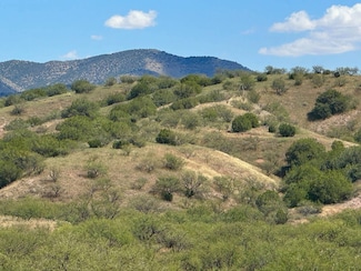 32 AC Temporal Canyon Rd, Patagonia, AZ 85624