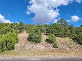 Lot 11 Spruce St, Eagar, AZ 85925