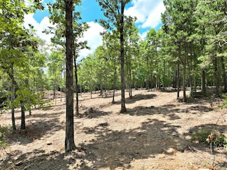 TBD, Tract 4 Polk County Road 158, Mena, AR 71945