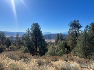 26541 Winchester Ct, Tehachapi, CA 93561