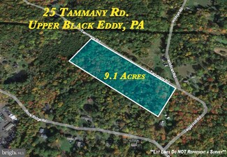 26 Tammany Rd, Upper Black Eddy, PA 18972