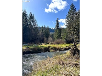 0 S Fork Rd Unit 23615778, Alsea, OR 97324