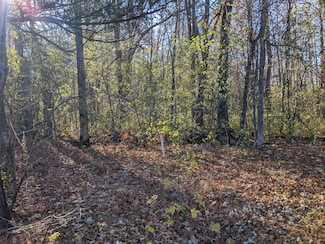 Tract H State Hwy 25, Oak Lawn Township, MN 56401