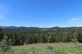 TBD Council Cuprum Rd, Council, ID 83612