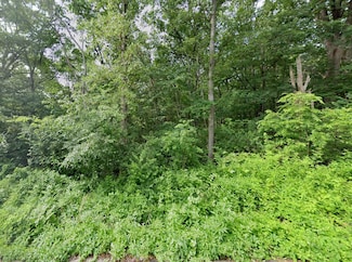 0 Ridge Rd Unit 22444689, Dittmer, MO 63023