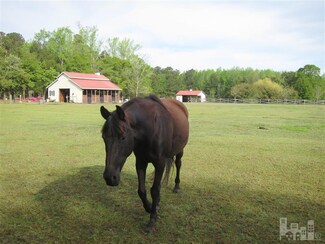 6000 Carolyn Hill, Castle Hayne, NC 28429