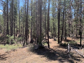 0 Schoonover 2, Crescent, OR 97733