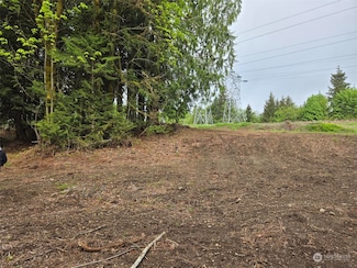 961 E Rasor Rd, Belfair, WA 98528