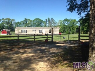6214 Upper C C Rd, Clinton, LA 70722