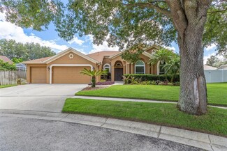 1107 Camphor Glen Ct, Valrico, FL 33594