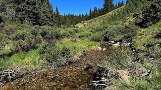 Forest Service Road 766, Pitkin, CO 81241