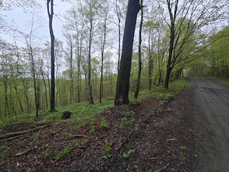 0WP Greenbush Rd, Westford, NY 13488