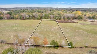 TBD Bob o Link Rd Unit Lot 5, Gilmer, TX 75645